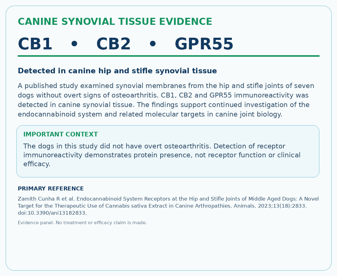 Canine synovial tissue evidence for CB1, CB2 and GPR55